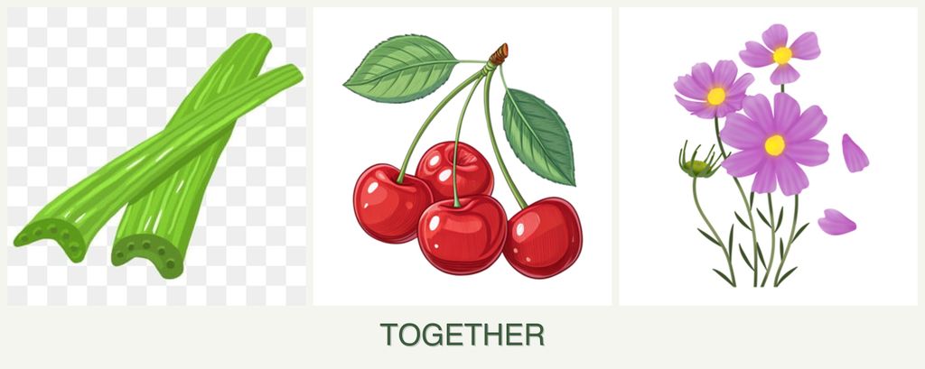 Can you plant celery, cherries and cosmos together?