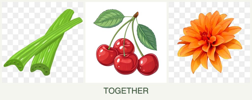Can you plant celery, cherries and dahlias together?
