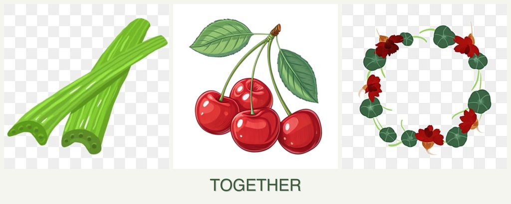 Can you plant celery, cherries and nasturtiums together?