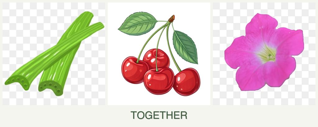 Can you plant celery, cherries and petunias together?