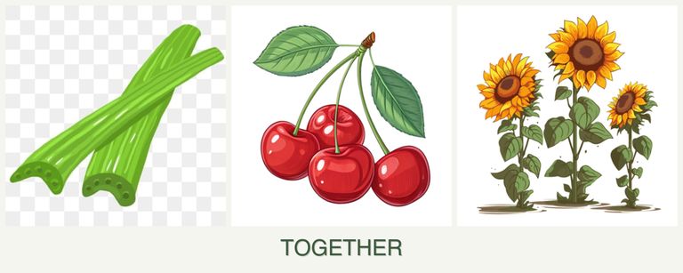 Can you plant celery, cherries and sunflowers together?