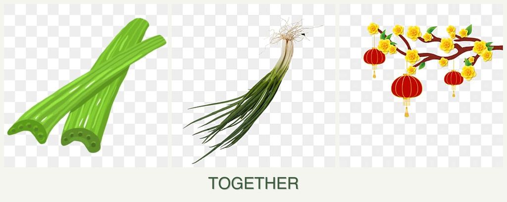 Can you plant celery, chives and apricots together?