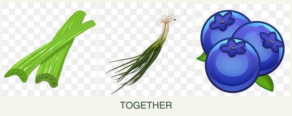 Can you plant celery, chives and blueberries together?