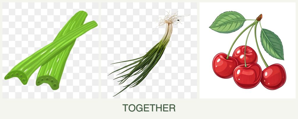 Can you plant celery, chives and cherries together?