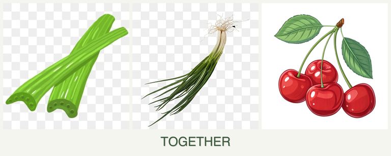 Can you plant celery, chives and cherries together?
