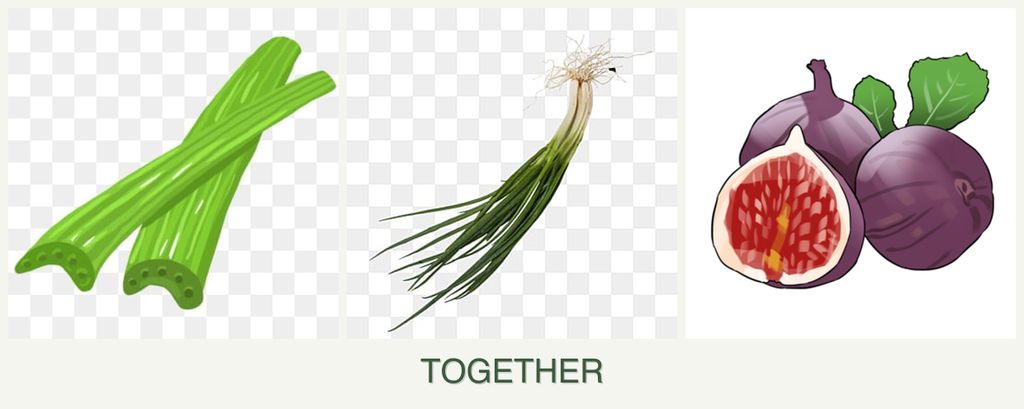 Can you plant celery, chives and figs together?