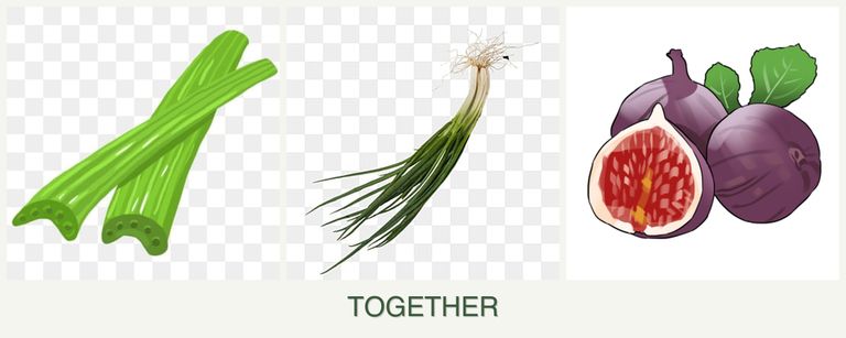 Can you plant celery, chives and figs together?