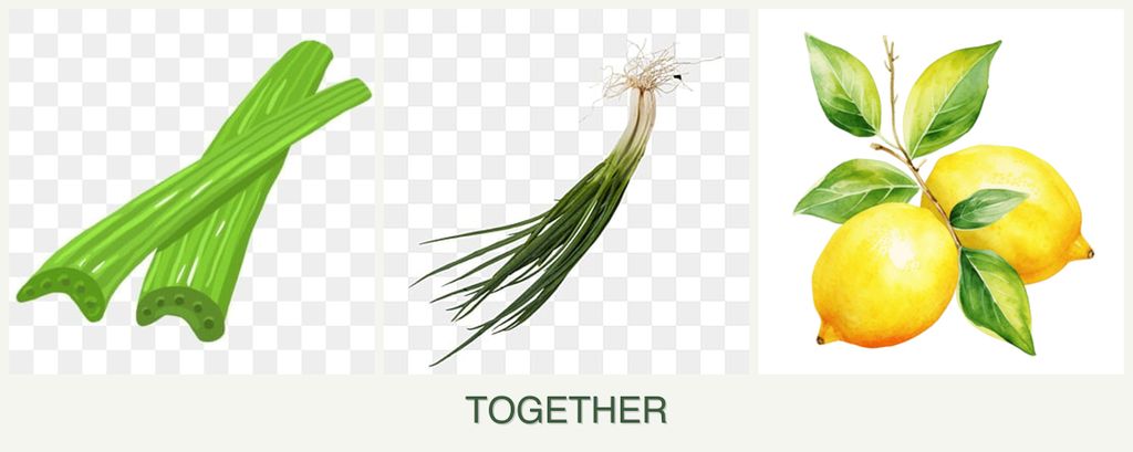 Can you plant celery, chives and lemons together?