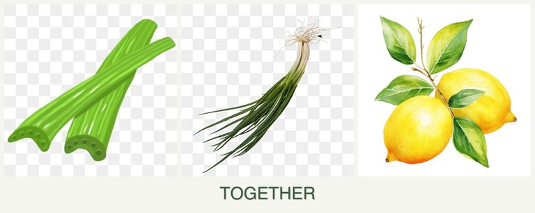 Can you plant celery, chives and lemons together?