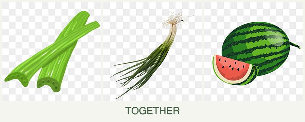Can you plant celery, chives and melons together?