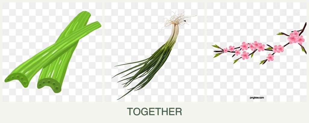 Can you plant celery, chives and peaches together?