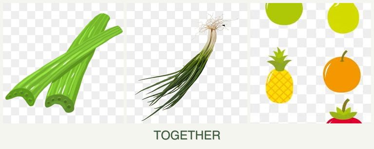 Can you plant celery, chives and pears together?