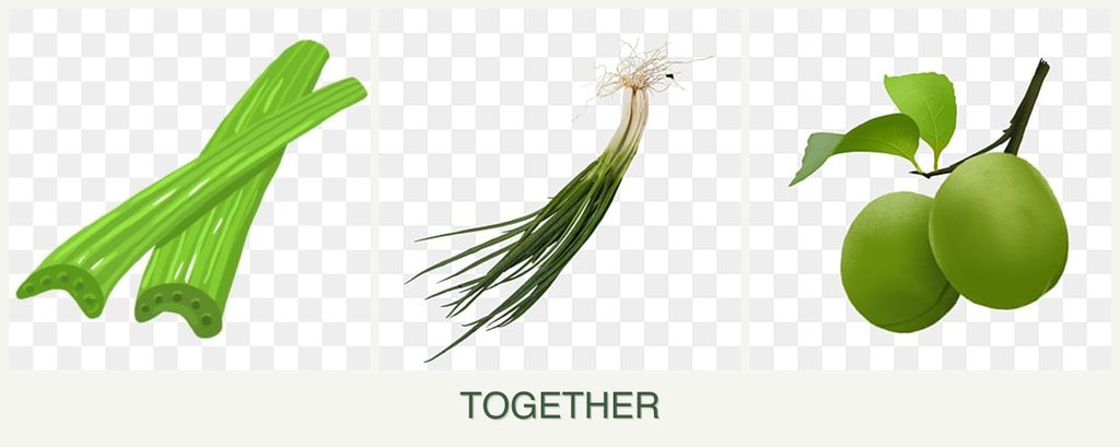Can you plant celery, chives and plums together?