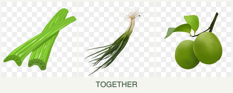 Can you plant celery, chives and plums together?