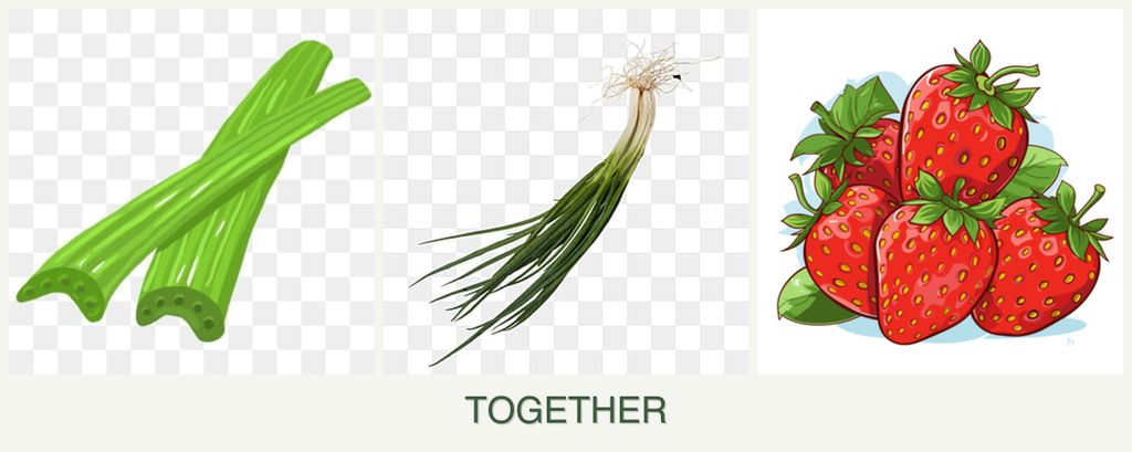 Can you plant celery, chives and strawberries together?