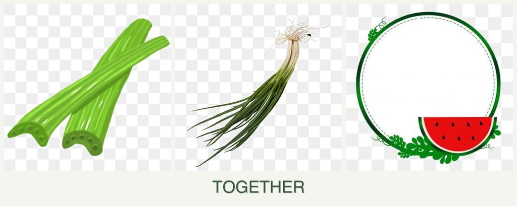 Can you plant celery, chives and watermelons together?