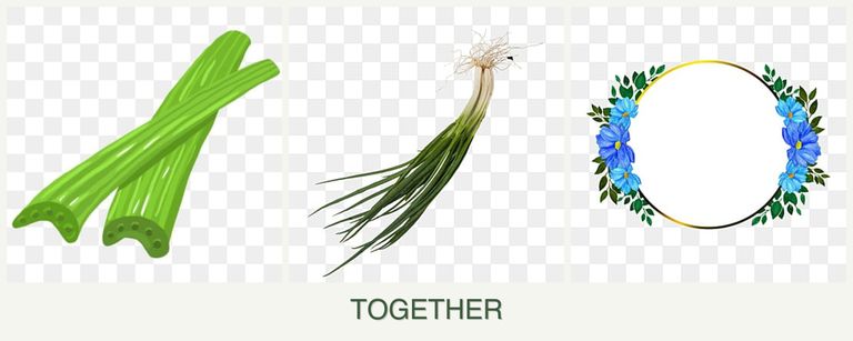 Can you plant celery, chives and zinnias together?