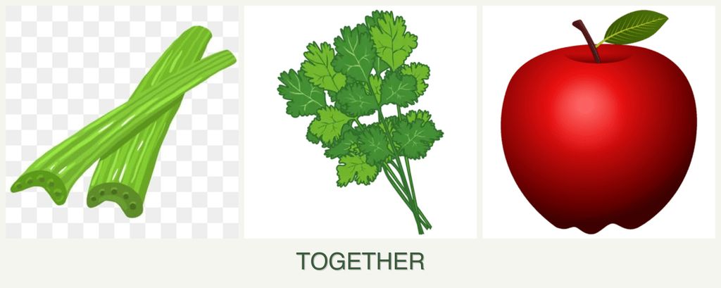 Can you plant celery, cilantro and apples together?