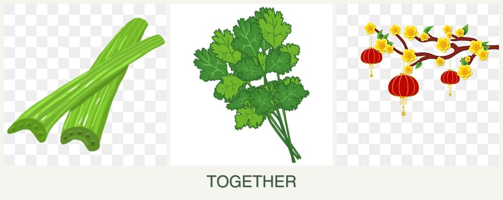 Can you plant celery, cilantro and apricots together?