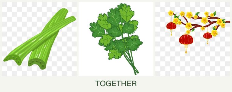 Can you plant celery, cilantro and apricots together?