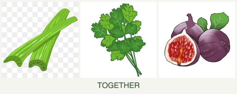 Can you plant celery, cilantro and figs together?