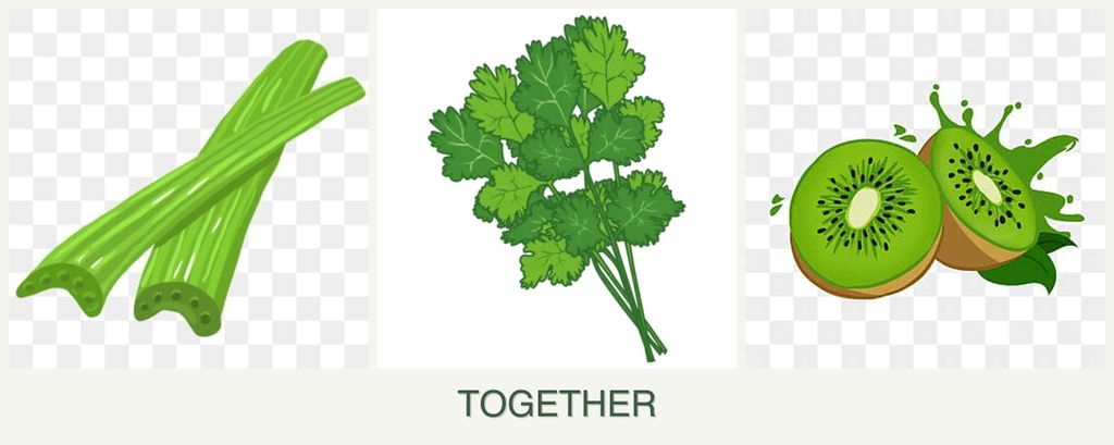Can you plant celery, cilantro and kiwi together?