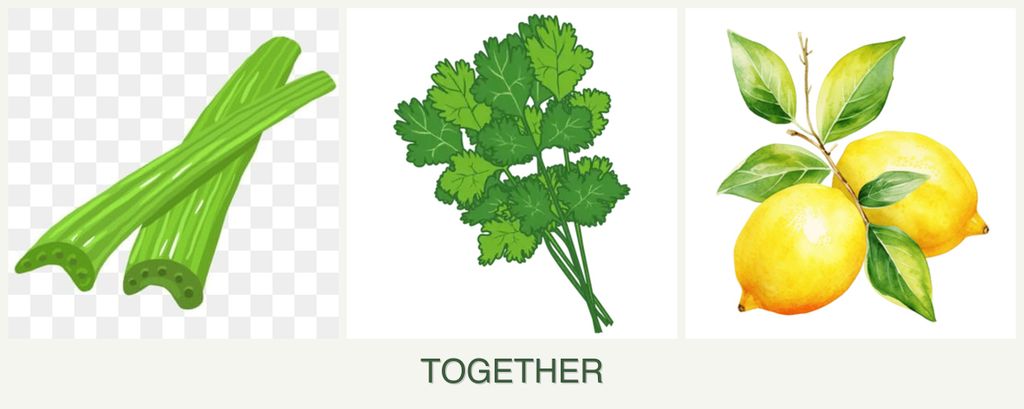 Can you plant celery, cilantro and lemons together?