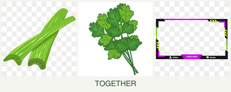 Can you plant celery, cilantro and limes together?