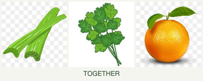 Can you plant celery, cilantro and oranges together?