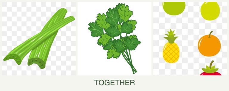 Can you plant celery, cilantro and pears together?