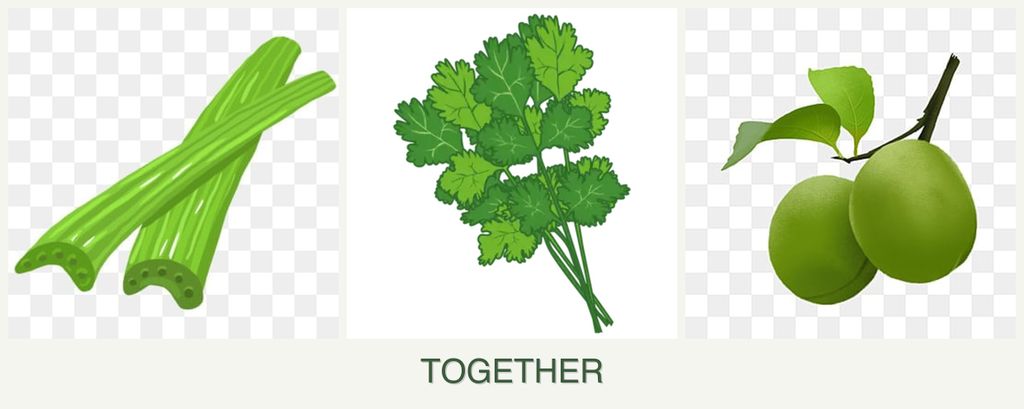 Can you plant celery, cilantro and plums together?