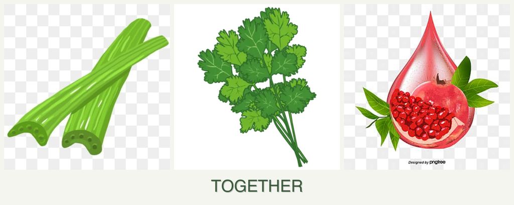 Can you plant celery, cilantro and pomegranates together?