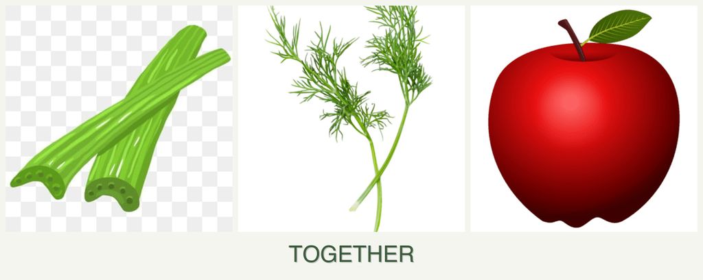 Can you plant celery, dill and apples together?