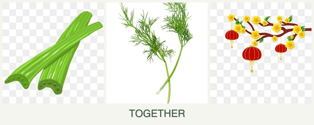 Can you plant celery, dill and apricots together?