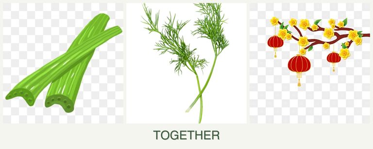 Can you plant celery, dill and apricots together?