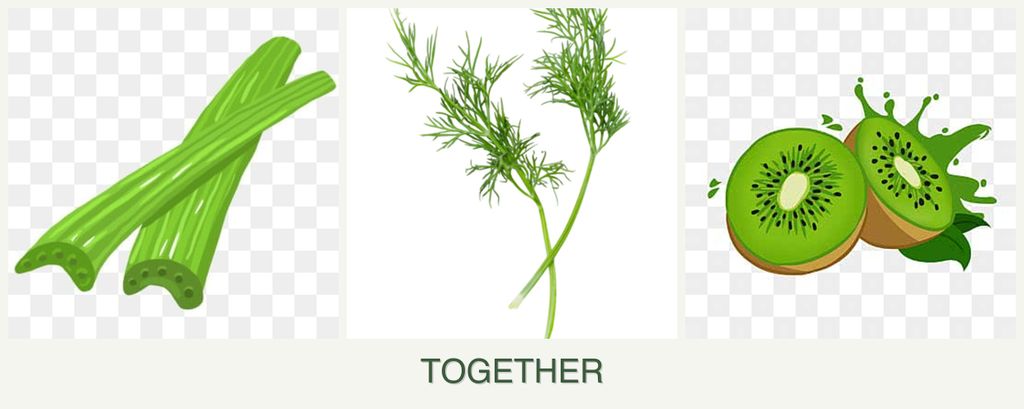 Can you plant celery, dill and kiwi together?