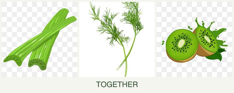 Can you plant celery, dill and kiwi together?
