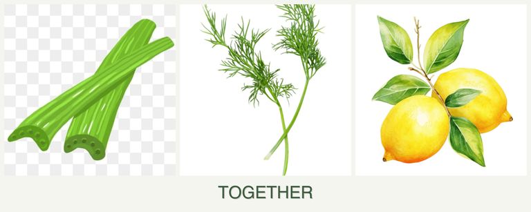 Can you plant celery, dill and lemons together?