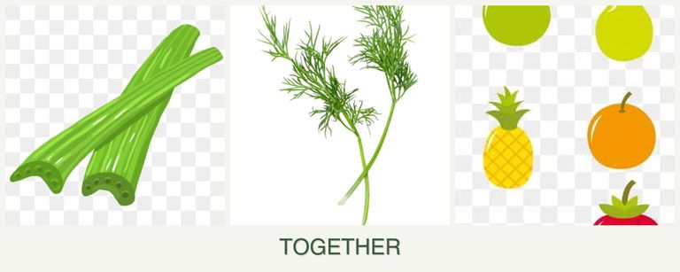 Can you plant celery, dill and pears together?