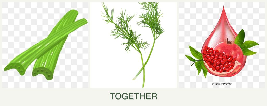 Can you plant celery, dill and pomegranates together?