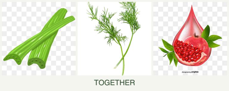 Can you plant celery, dill and pomegranates together?