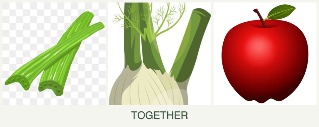 Can you plant celery, fennel and apples together?