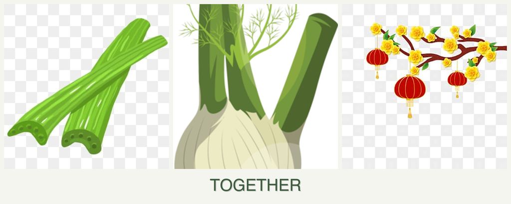 Can you plant celery, fennel and apricots together?