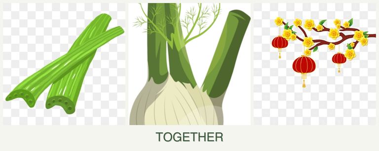 Can you plant celery, fennel and apricots together?