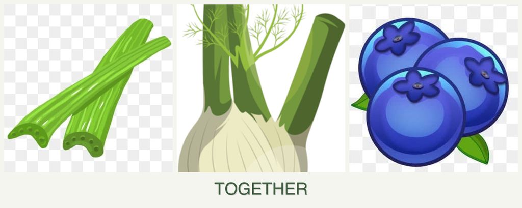Can you plant celery, fennel and blueberries together?