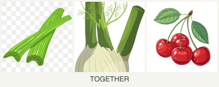 Can you plant celery, fennel and cherries together?