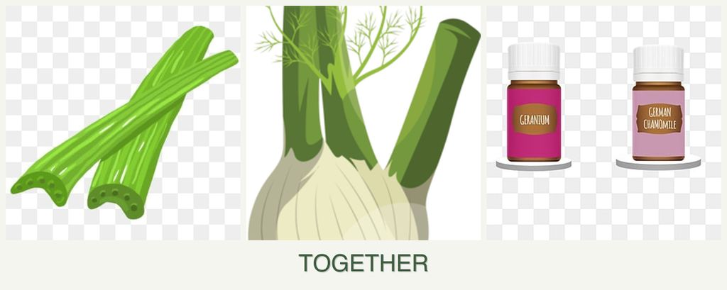 Can you plant celery, fennel and geraniums together?