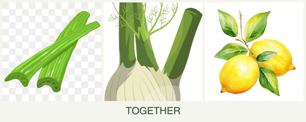 Can you plant celery, fennel and lemons together?