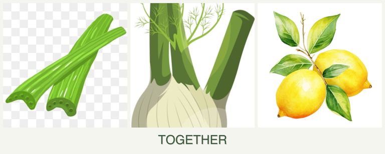 Can you plant celery, fennel and lemons together?
