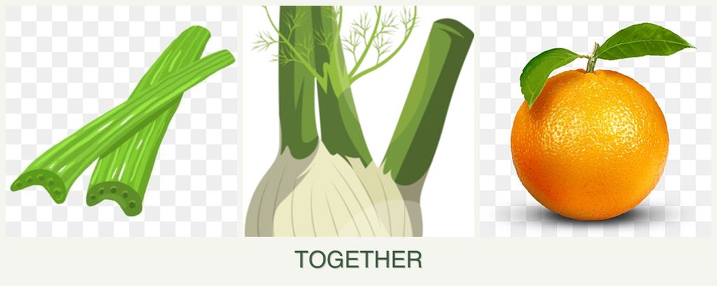 Can you plant celery, fennel and oranges together?